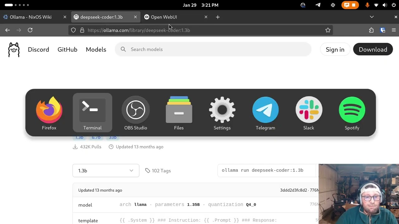 How to run local LLM with a web ChatGPT interface on NixOS