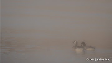 The Art of Mindful Decision-Making with Jonathan Foust