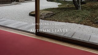 【美しすぎる禅寺】 長寿寺\/北鎌倉\/紅葉 \/湘南  kitakamakura japan beautiful zen garden vlog