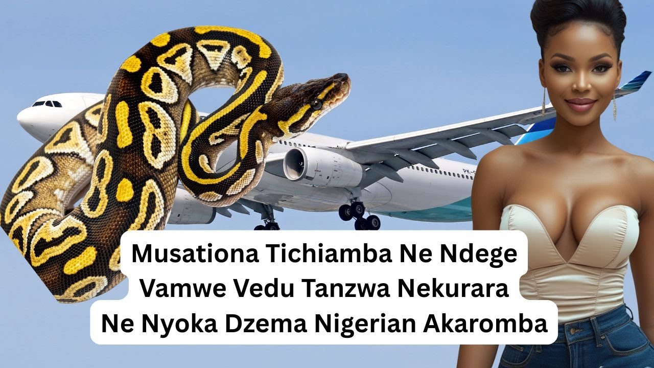Musationa Tichiamba Ne NdegeVamwe Vedu Tanzwa Nekurara Ne Nyoka Dzema Nigerian Akaromba