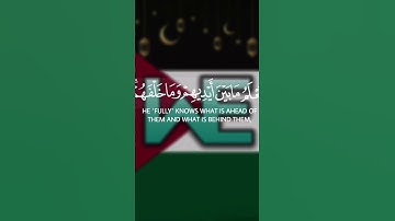 ﴿ اللَّهُ لَا إِلَهَ إِلَّا هُوَ الْحَيُّ الْقَيُّومُ ﴾ | أية كرسي بتلاوة خاشعة مؤثرة 🥺