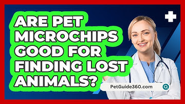 Are Pet Microchips Good For Finding Lost Animals?