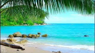 🌴 Tropical Beach Ambience on a Island in Thailand with Ocean Sounds For Relaxation & Holiday Feeling