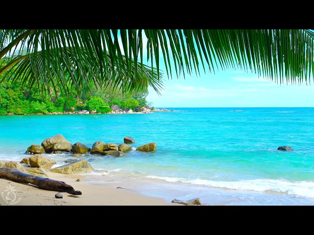 🌴 Tropical Beach Ambience on a Island in Thailand with Ocean Sounds For Relaxation & Holiday Feeling class=