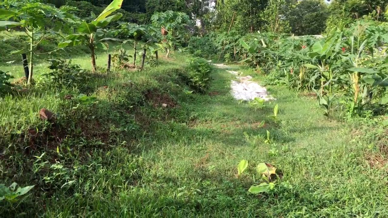 Youtube Live (28 มิ.ย.2566) ติดตาม..