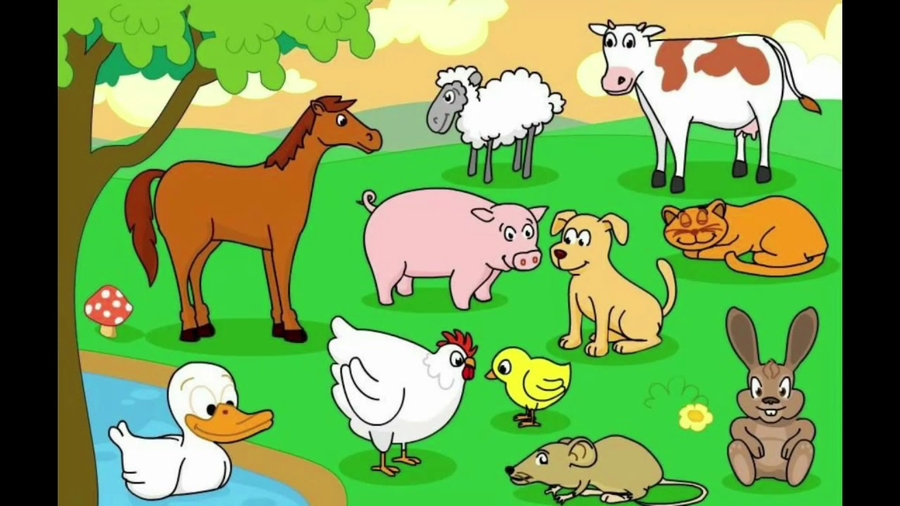 How many animals live. Животные for Kids. Животные фермы на английском для детей. Карточки ферма для детей. Животные фермы карточки для детей.