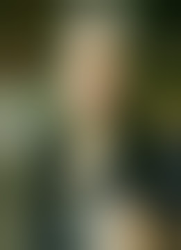 Sikap Cewek Ketika ditanya. Lo Pernah Ngentot??