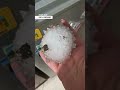 May 25 2024 Italy The Municipality Of Porto Viro In The Province Of Rovigo Was Hit By Heavy Hail