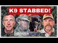 K9 Critical Incident debrief and Marijuana grows with Chris Magallon