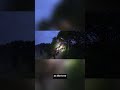 The Silent Tree That Spoke The Loudest