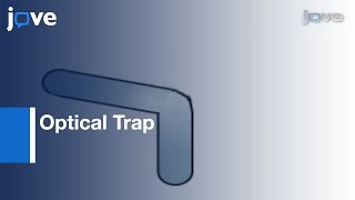 Measuring Bending Stiffness Of Bacterial Cells Using Optical Trap l Protocol Preview