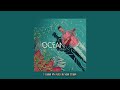 OCEAN - Anuv Jain (Lyrics) Mp3 Song
