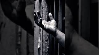 Mapusun İçinde Üç Ağaç İncir - Yaşar Kemal