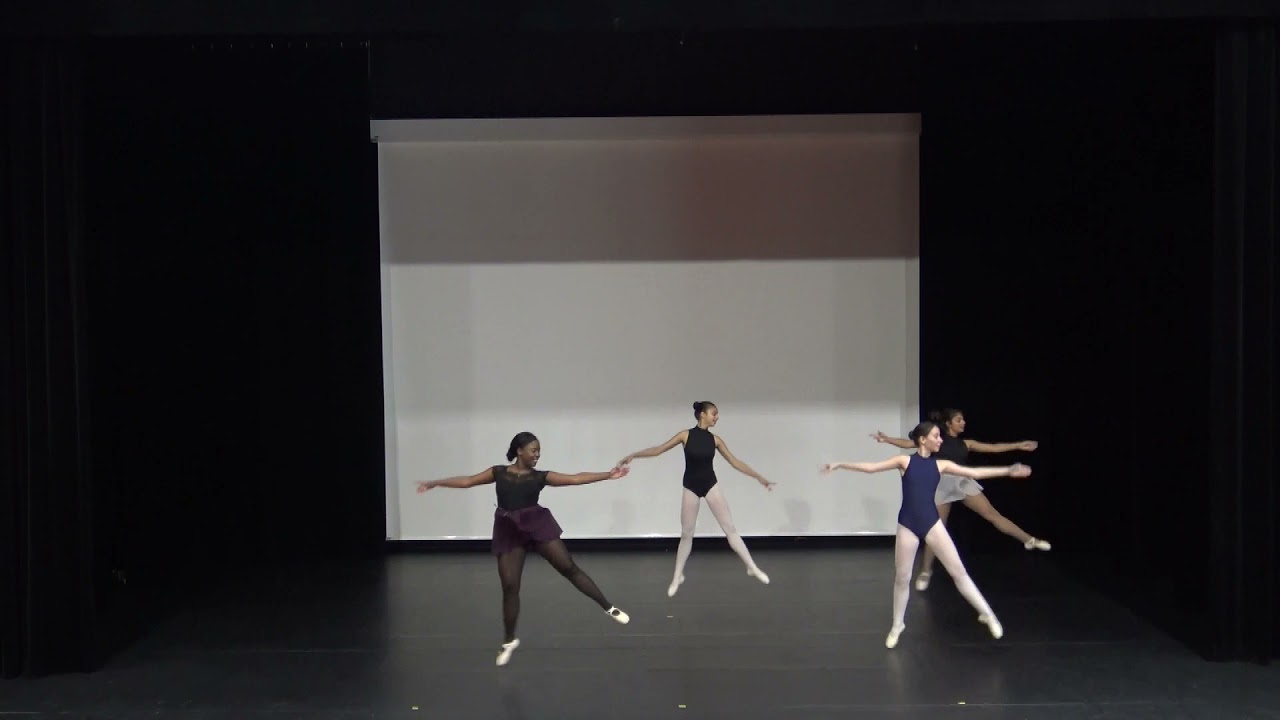 Danse classique - Allegro - Suki Schorer & Nancy McDill