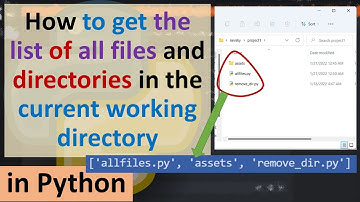 How to get the list of all files and directories in the current working directory in Python