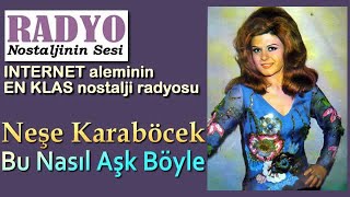 Neşe Karaböcek - Bu Nasıl Aşk Böyle (1972) Resimi