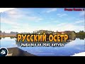 Осётр Русский • Рыбалка на реке Ахтуба • Driler - Русская Рыбалка 4