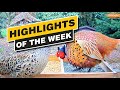 Highlights Of The Week - Recke, Germany - Week 46, Nov. 2021