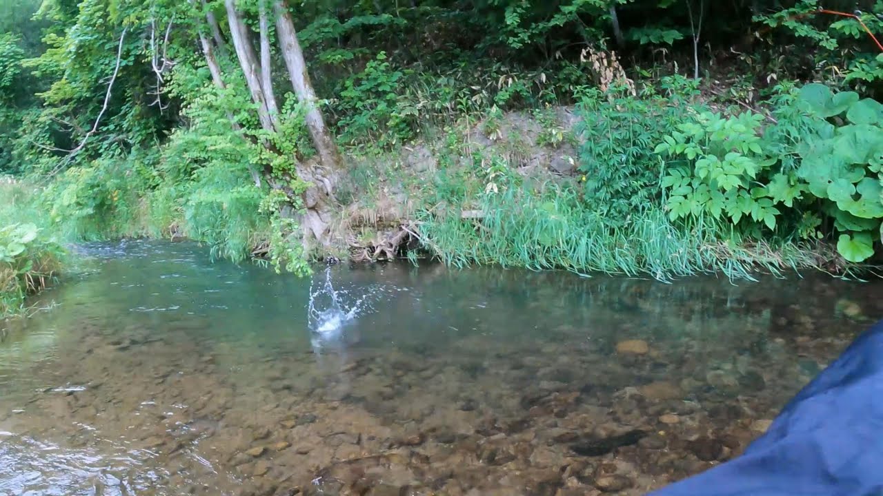 数もサイズも出る渓流