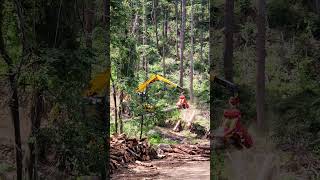 Highlander Harvester in Korea🇰🇷 | Modern Forest Logging Machine🇰🇷