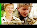 Robert Irwin Head-Jumps His Biggest Croc Ever! | Crikey! It's The Irwins