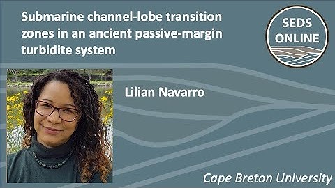 Submarine channel-lobe transition zones in an ancient passive-margin turbidite system