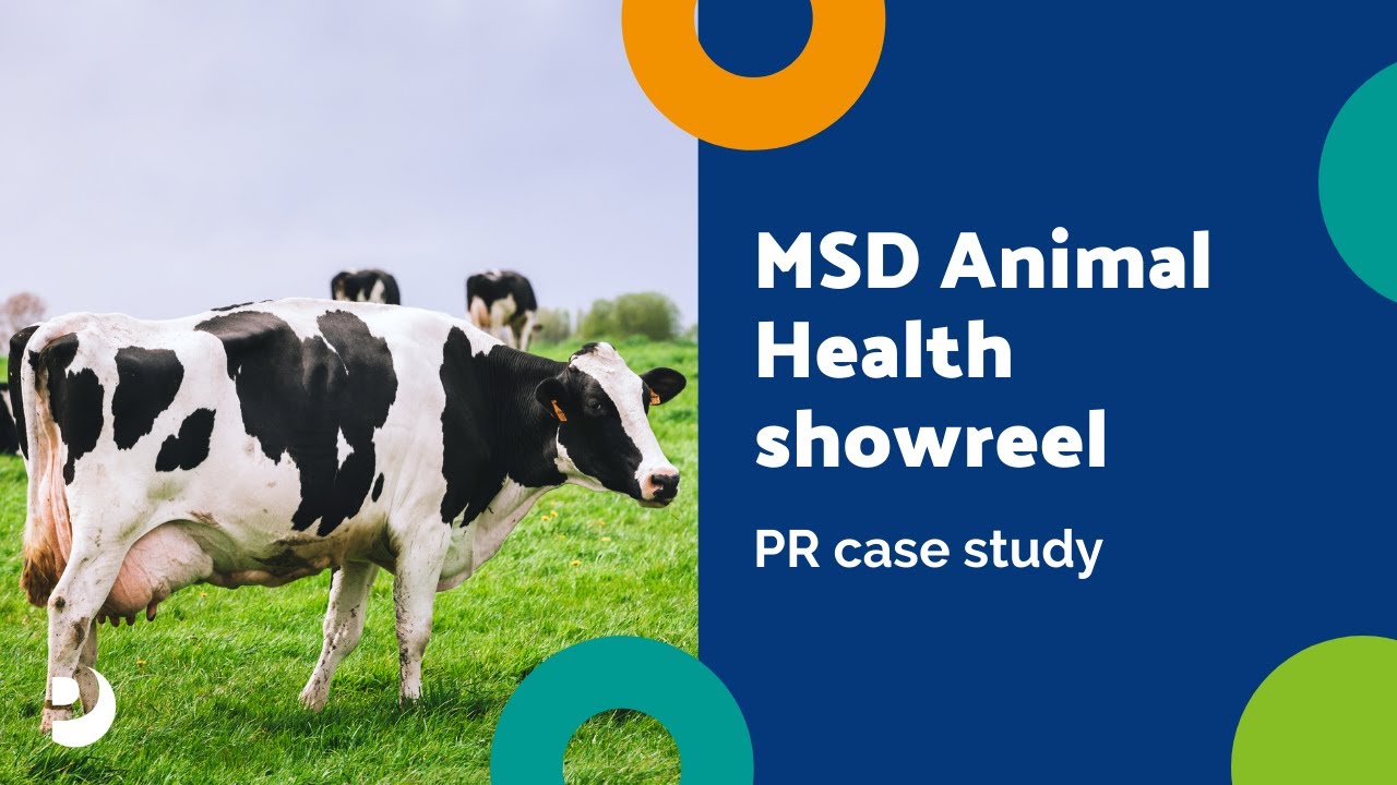 MSD Animal Health case study YouTube