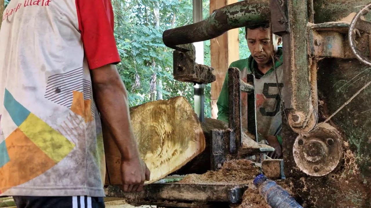 Impressive Sawmill Action Splitting A Massive Log Into Premium Planks impressive-sawmill-action-splitting-a-massive-log-into-premium-planks