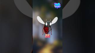 هل كل العوض يلدغ الإنسان ؟ - Does all mosquitoes bite human?