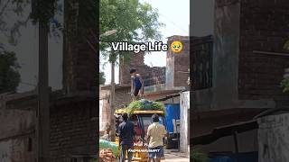 Village Life 🥹 #minivlog #dailyvlog #fbd #villagelife #villagevlog #viralvideo #farmaankhanfit #yt