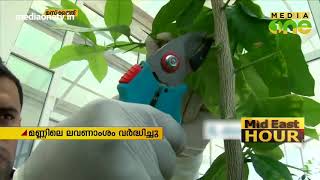 ഒമാനില്‍ കൃഷിയോഗ്യമായ ഭൂമിയുടെ അളവ് കുറയുന്നു screenshot 4