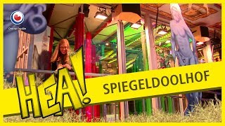 HEA! Het spiegeldoolhof