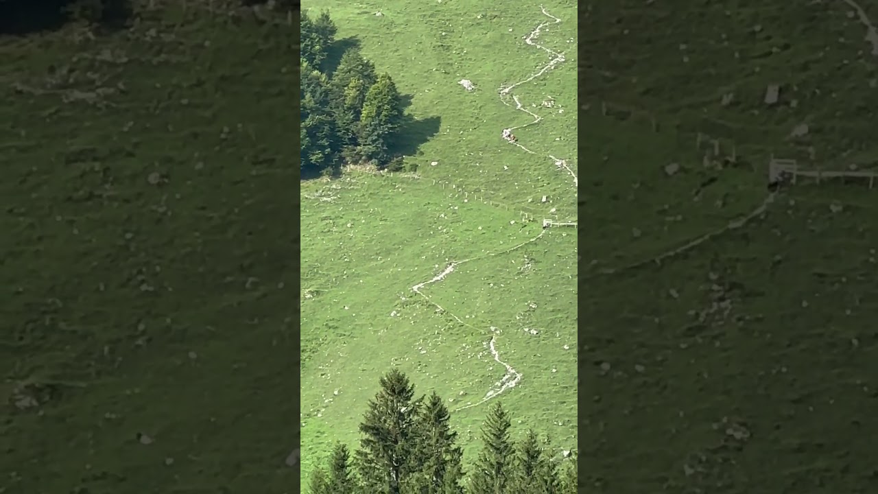 I dr Schmallaui Bisistal Muotathal