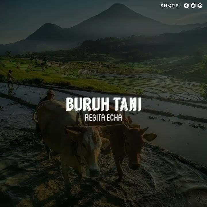 story wa buruh tani Regita echa