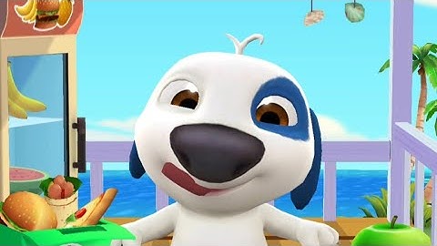 My Talking Hank Dog All Levels Gameplay Walkthrough Part 4 (Android,iOS)