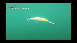 DUO`s Lures in Motion: Realis Fangbait 120DR