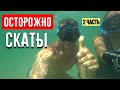 Осторожно! Скат пробил руку! Подводный мир. Охота на рапана, краба