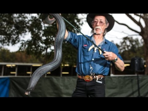 lizard skin grips Aussie Legend Neville Burns - CrittaCam