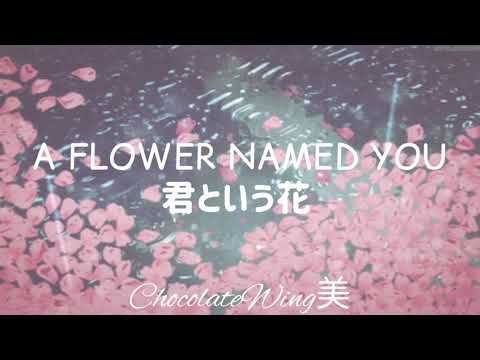 Asian Kung-Fu Generation// A Flower Named You [Sub Español]