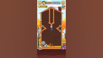 Home pin: Gameplay walkthrough-Level 142