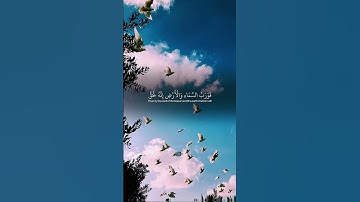#ياسر_الدوسري #سورة_الذاريات #قرآن
