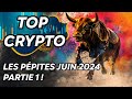 Top crypto  les ppites de juin 2024  partie 1