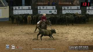 2020 AQHA Youth Cutting