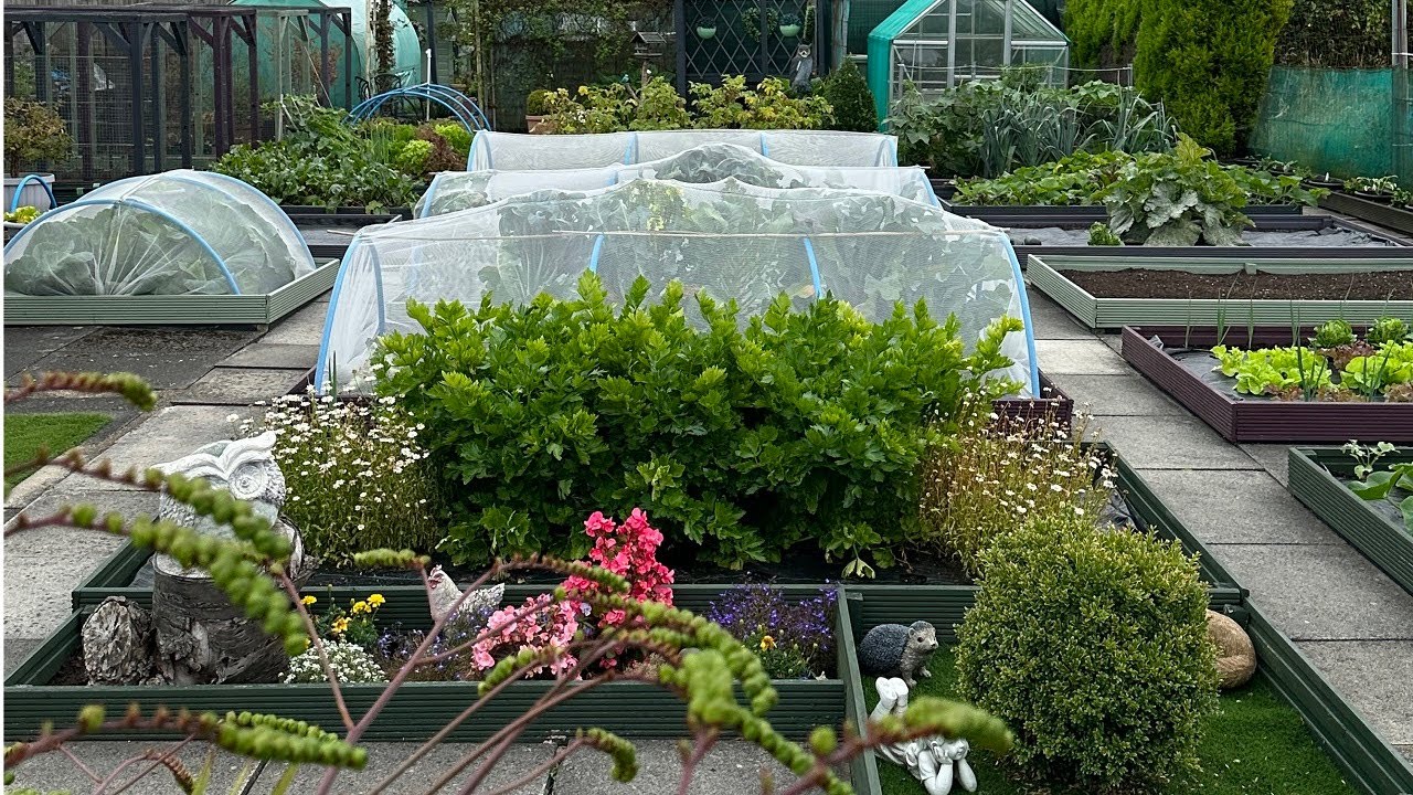 National Allotments Week