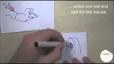 Organs on Chips - MIRA - Twente Seconds Science