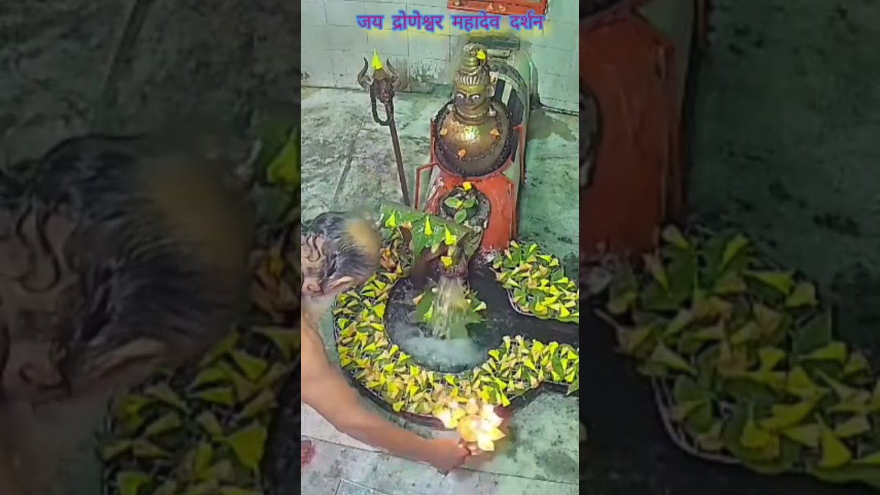 जय द्रोणेश्वर महादेव दर्शन #viralreels #shortsvideo #videovi