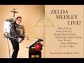 Zelda medley live  one man band style