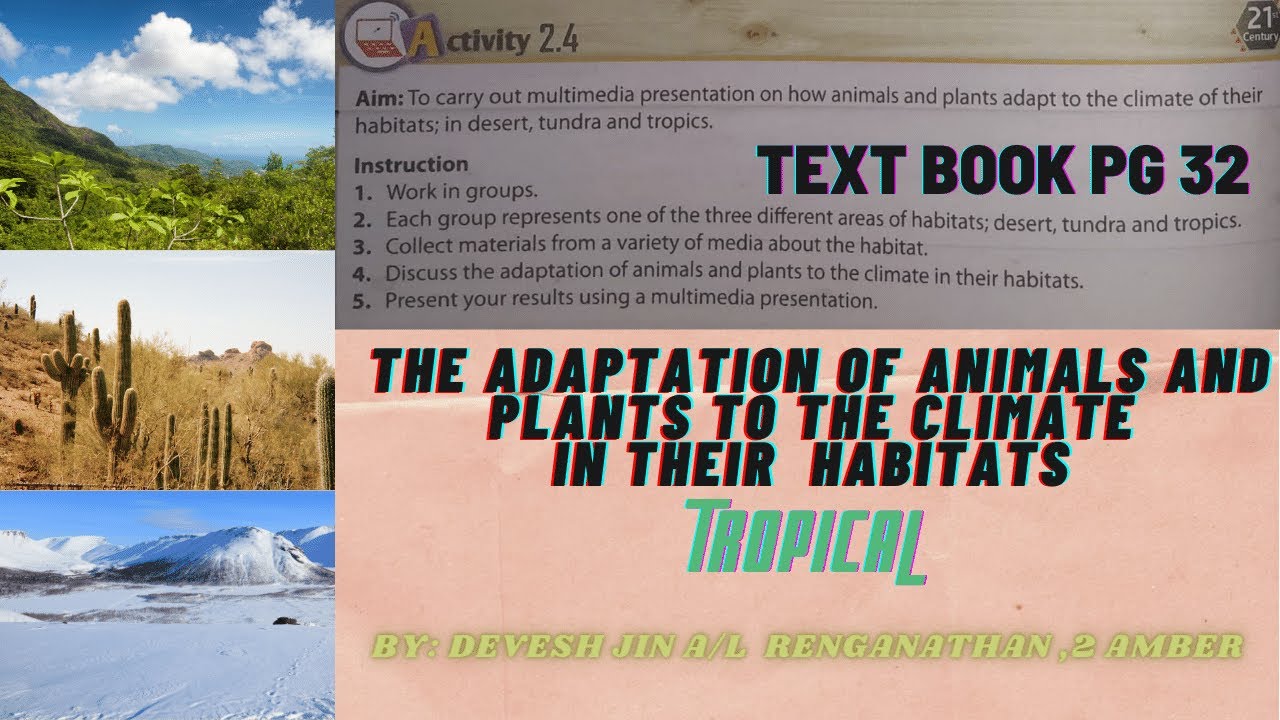 THE ADAPTATION OF ANIMALS AND PLANTS TO THE CLIMATE IN THEIR HABITAT.(  TROPICAL) - YouTube