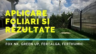 Aplicare foliar la gazon & rezultate. Fox, Green Up, Fertalga, Ferthumic.