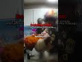 Teen’s School Fight Exposes Mom’s 87 Warrants #Bodycam